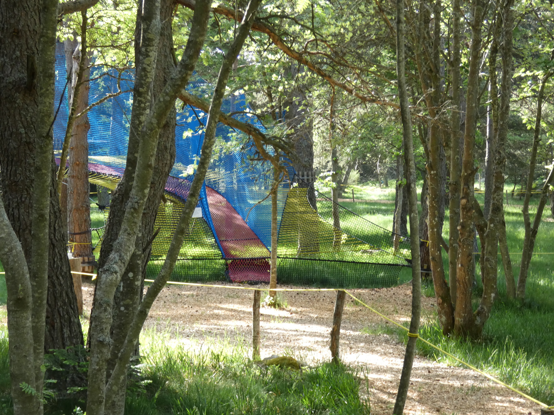 Loire : un parc de loisirs suspendu dans les arbres 100% made in France à  Burdignes